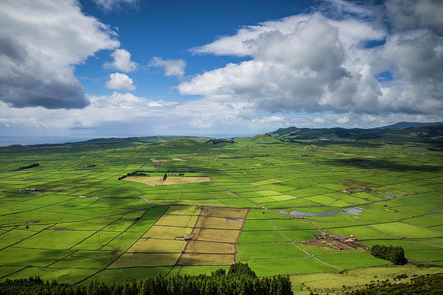 Field Photograph - Portugal, Azores, Terceira Island #19 by Walter Bibikow
