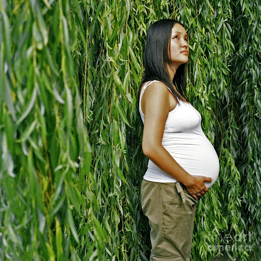 Pregnant Woman Photograph By Cecilia Magill Science Photo Library Fine Art America