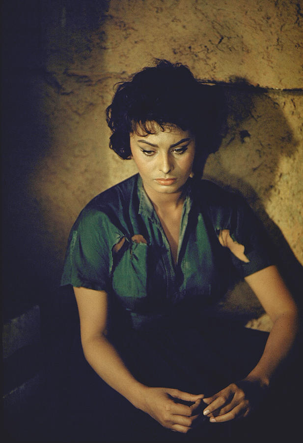 Sophia Loren #2 Photograph by Loomis Dean