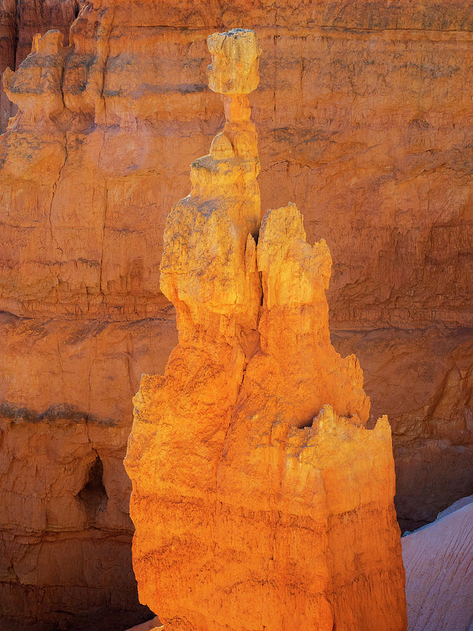 Fin Photograph - Utah, Bryce Canyon National Park by Jamie and Judy Wild Fin Photograph - Utah, Bryce Canyon National Park by Jamie and Judy Wild