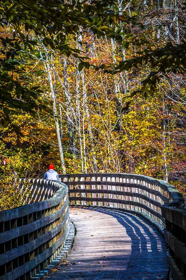 Views Along Virginia Creeper Trail During Autumn #19 Photograph by Alex Grichenko