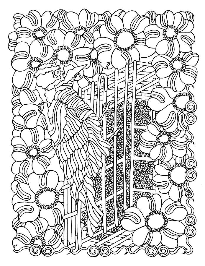 Bird Drawing - 19 Woodpecker by Kathy G. Ahrens
