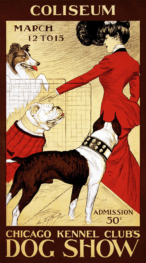 1902 Chicago Dog Show Poster Photograph by Graphicaartis