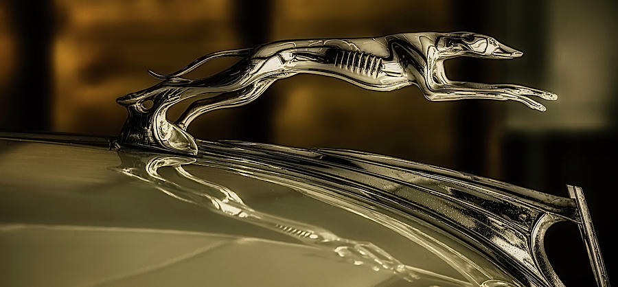 1930's Ford Greyhound Hood Ornament Photograph by Don Barone - Fine Art