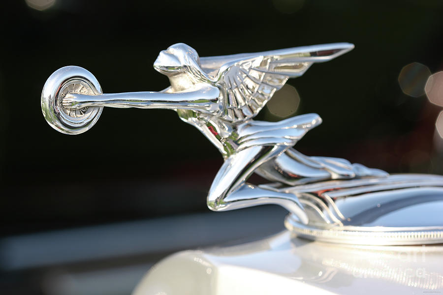 1930s Packard Cormorant Hood Ornament Photograph by Lucie Collins