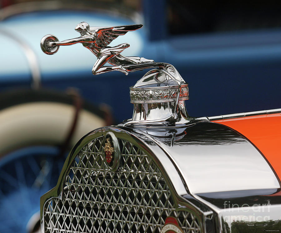 1931 Packard Cormorant Hood Ornament Photograph by Lucie Collins