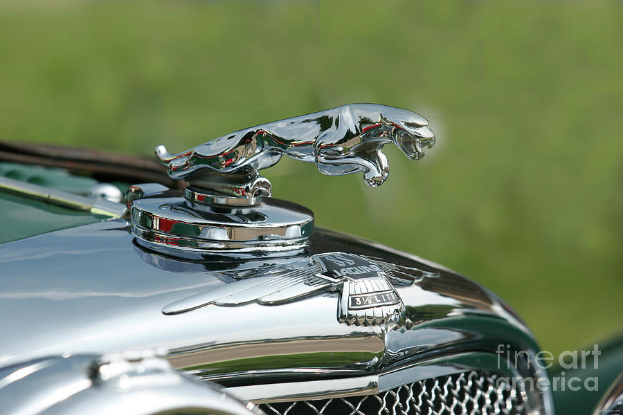 1936 Jaguar Ss Flying Car Hood Ornament Photograph by Lucie Collins