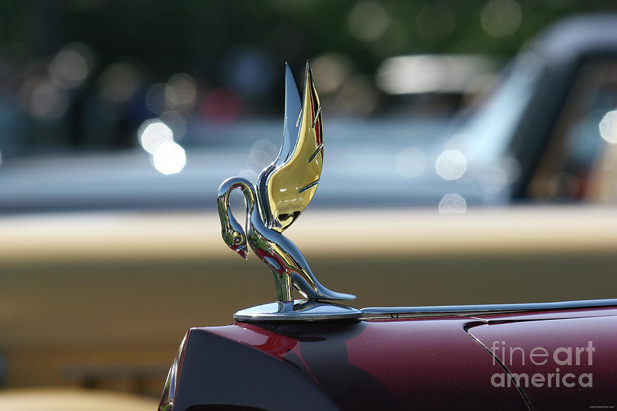 1937 Packard Cormorant Hood Ornament Photograph by Lucie Collins