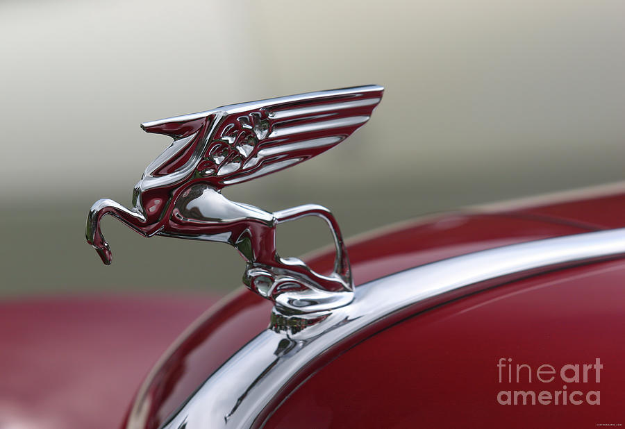 1940s Flying Horse Hood Ornament Photograph by Lucie Collins