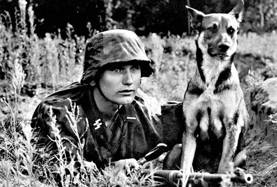 Wildlife Painting - 1943 German Sniper and Dog PHOTO Wehrmacht Waffen ss World War 2 Soldier Germany by Celestial Images