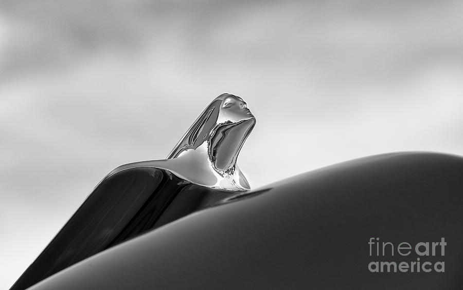 Vintage Photograph - 1949 Cadillac hood Ornament by Dennis Hedberg