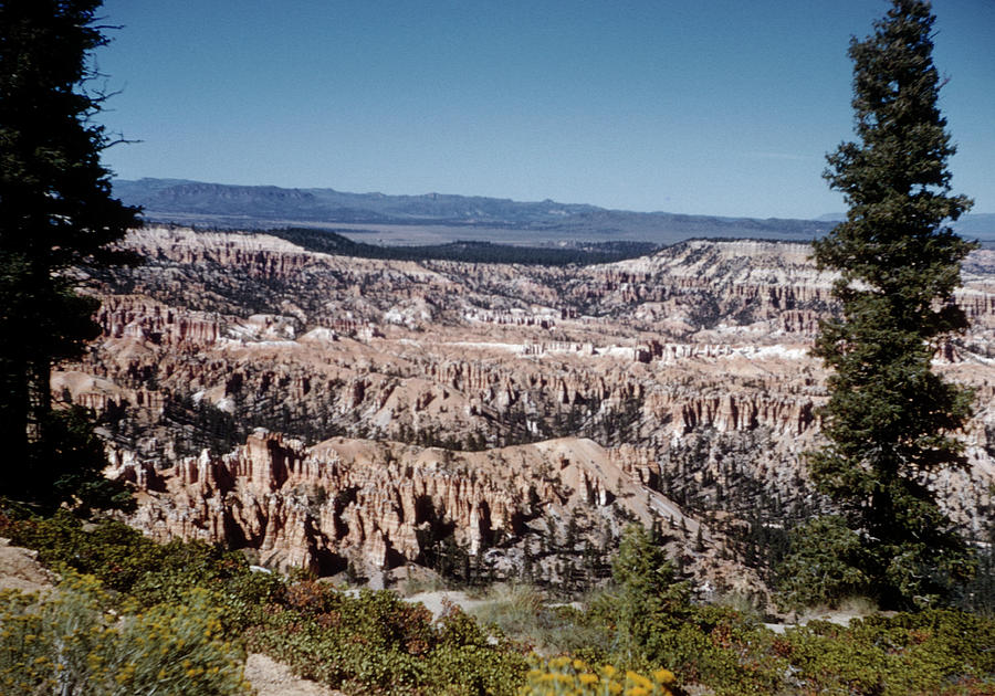 Large sandstone monolith seen beyond a few trees in Oak Creek Canyon -  ARIZ400 00210 Coffee Mug by Kevin Russell - Pixels