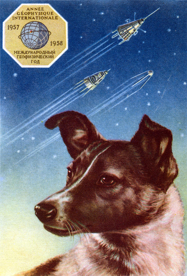 1958 Laika First Dog in Space Painting by Historic Image