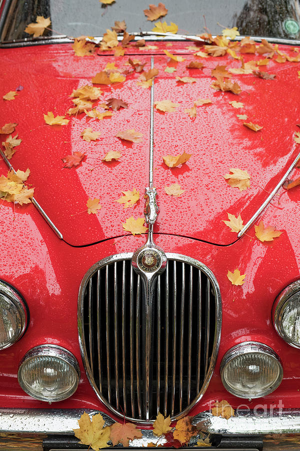 1964 Red Mark 2 Jaguar Car Photograph by Tim Gainey