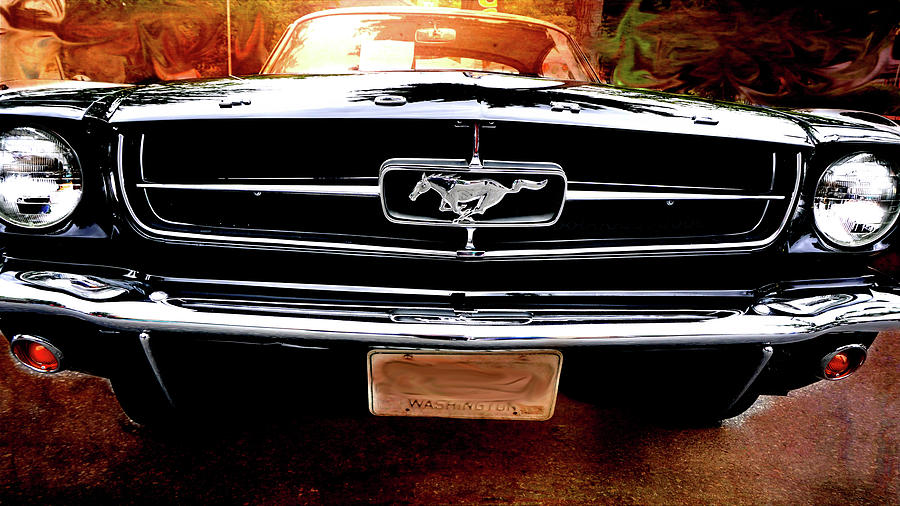 1965 Ford Mustang Photograph by Cathy Anderson