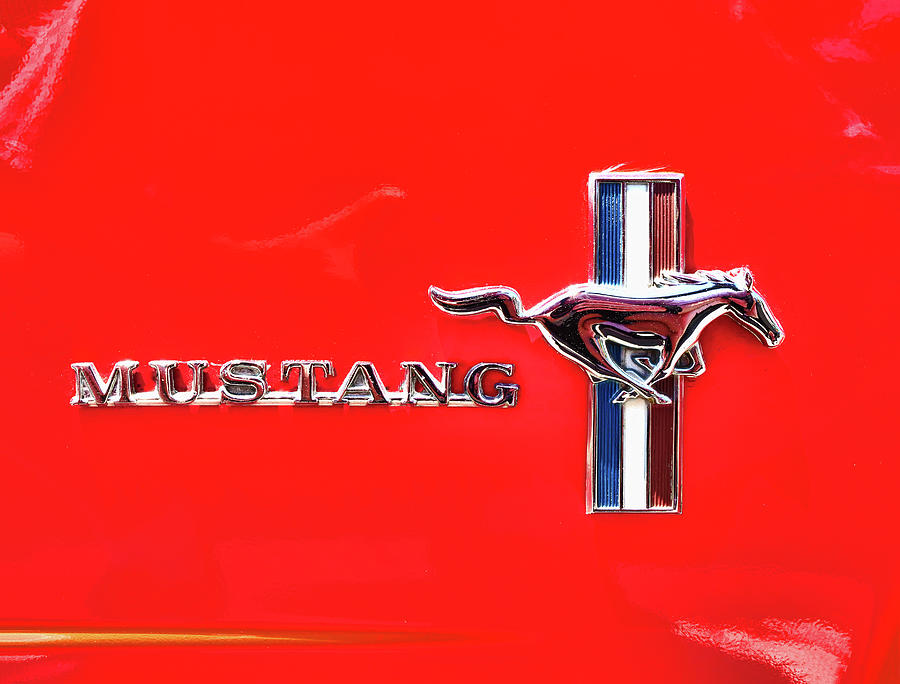 1966 Ford Mustang Insignia Photograph by Allen Beatty