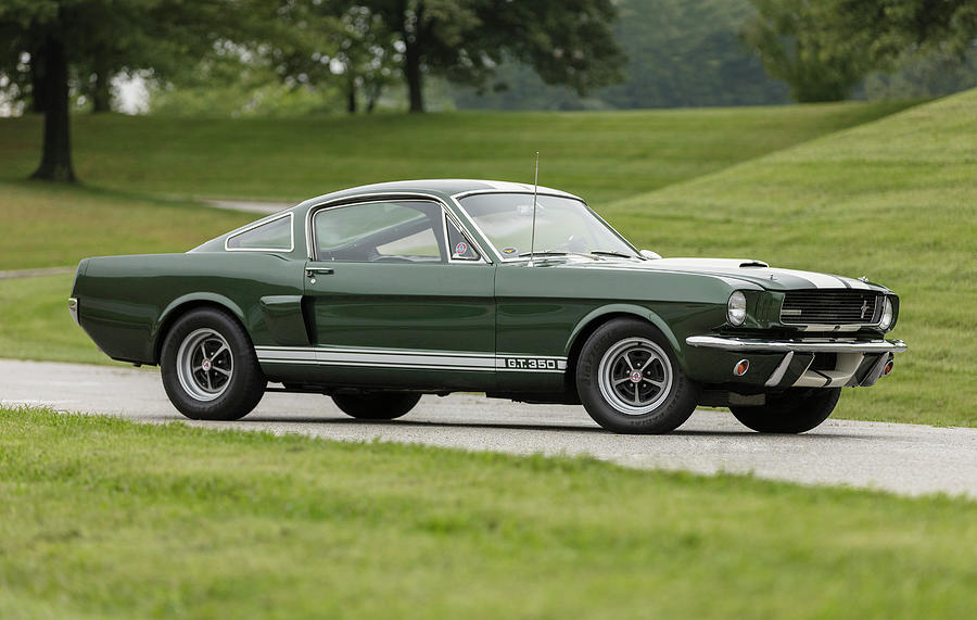 1966 S/C Shelby GT350 Photograph by Timothy Walsh - Pixels