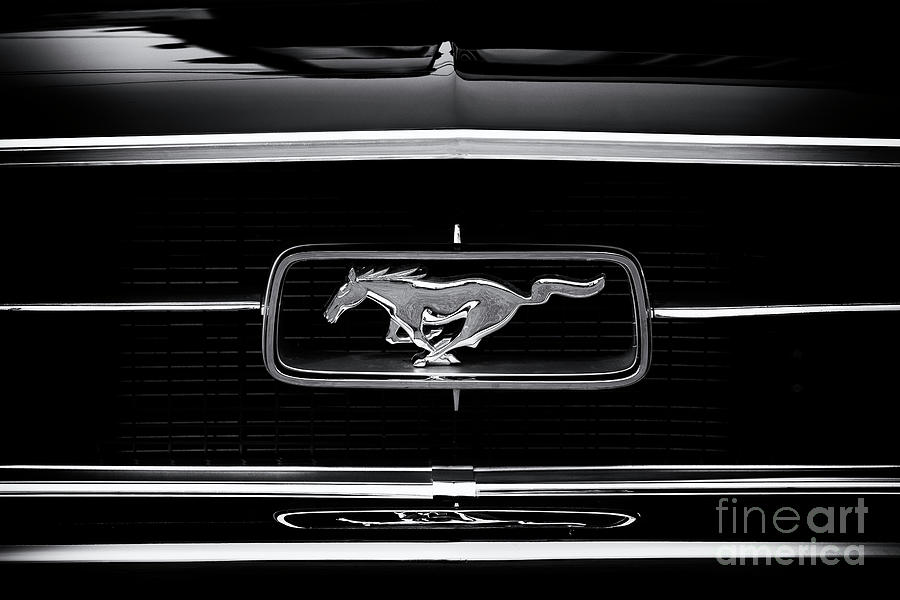1967 Ford Mustang GT Monochrome Photograph by Tim Gainey