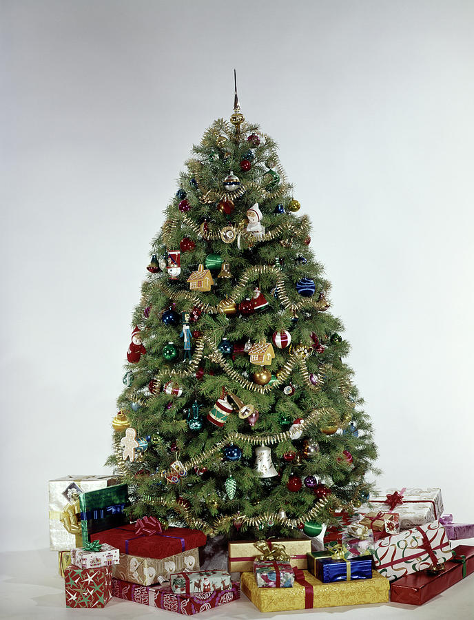 1970s Single Christmas Tree Photograph by Vintage Images - Pixels