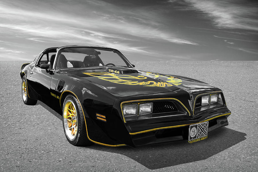 1976 Trans Am Black And Gold Photograph by Gill Billington