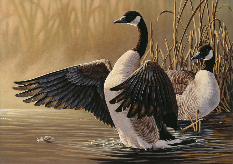 Animal Painting - 1994 Canada Geese by Wilhelm Goebel