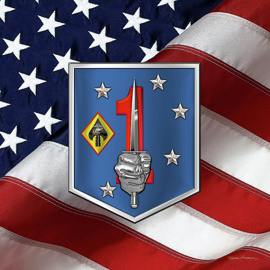 1st Marine Raider Support Battalion  -  1st  M R S B  Patch over American Flag Digital Art by Serge Averbukh
