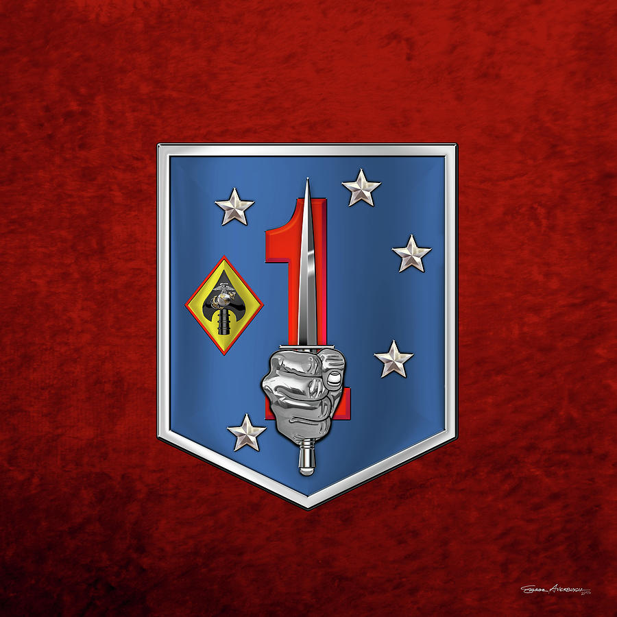 1st Marine Raider Support Battalion  -  1st  M R S B  Patch over Red Velvet Digital Art by Serge Averbukh