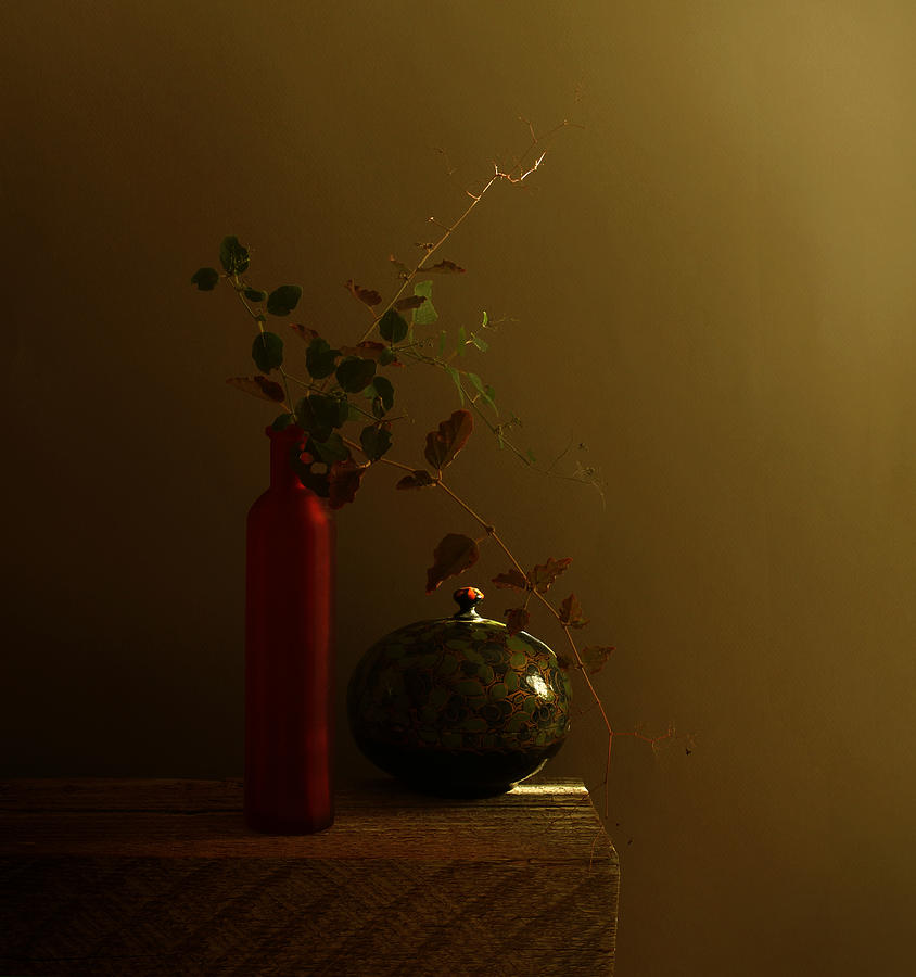Still Life Photograph -  #2 by Margaret Halaby