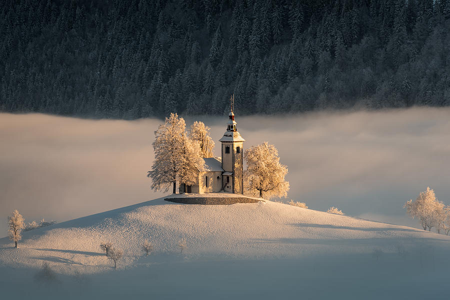Winter Photograph -  #2 by Rafael Kos