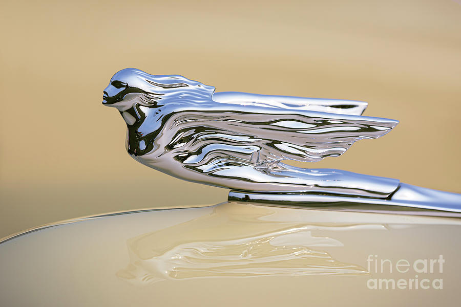 1941 Cadillac Hood Ornament #2 Photograph by Dennis Hedberg