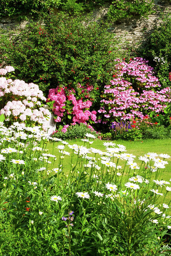 A beautiful summer walled garden border flowerbed #2 Photograph by Seeables Visual Arts