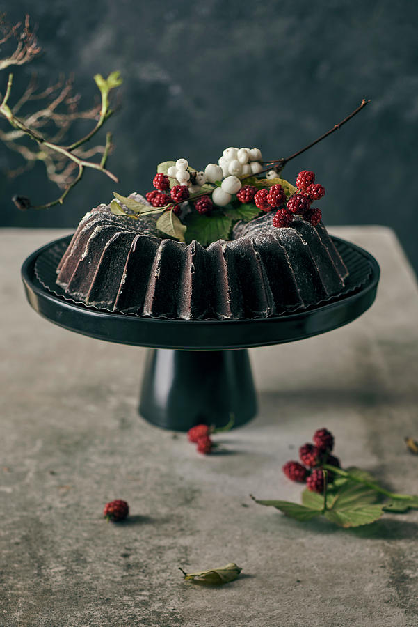 A Chocolate Bundt Cake With Winter Decorations On A Cake Stand #2 Photograph by Angelika Grossmann