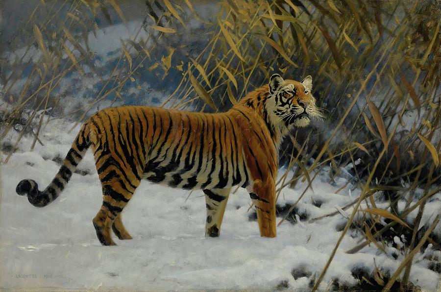 Wildlife Painting - A Tiger Prowling In The Snow by Hugo Ungewitter