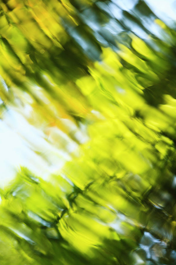 Abstract Photograph - Abstract Of Blurred Trees And Water #2 by Stuart Westmorland