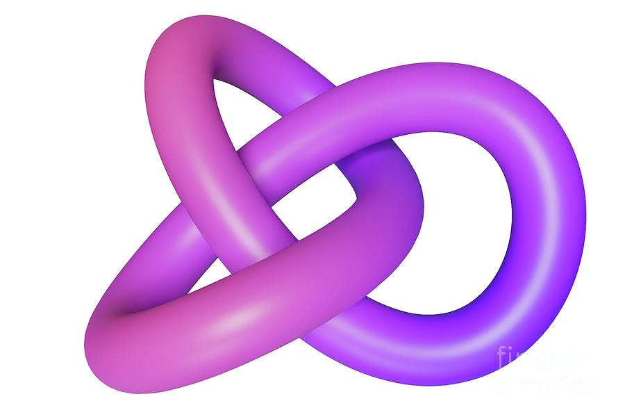 Abstract Photograph - Abstract Torus Knot by Steven Mcdowell/science Photo Library Abstract Photograph - Abstract Torus Knot by Steven Mcdowell/science Photo Library