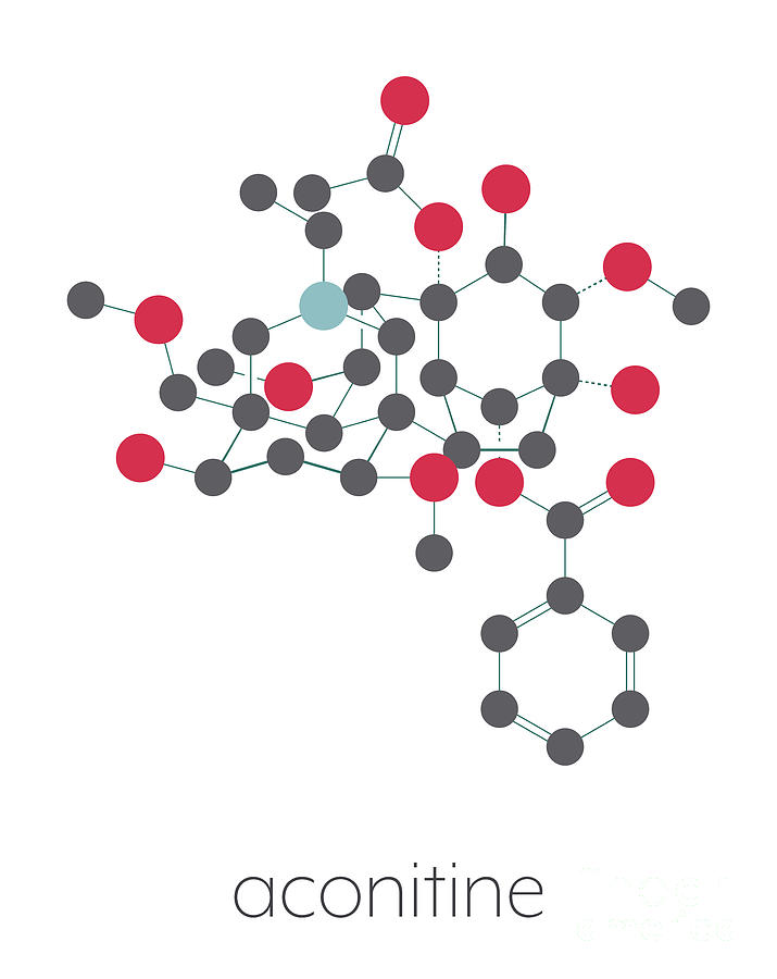 Aconitine Molecule #2 Photograph by Molekuul/science Photo Library