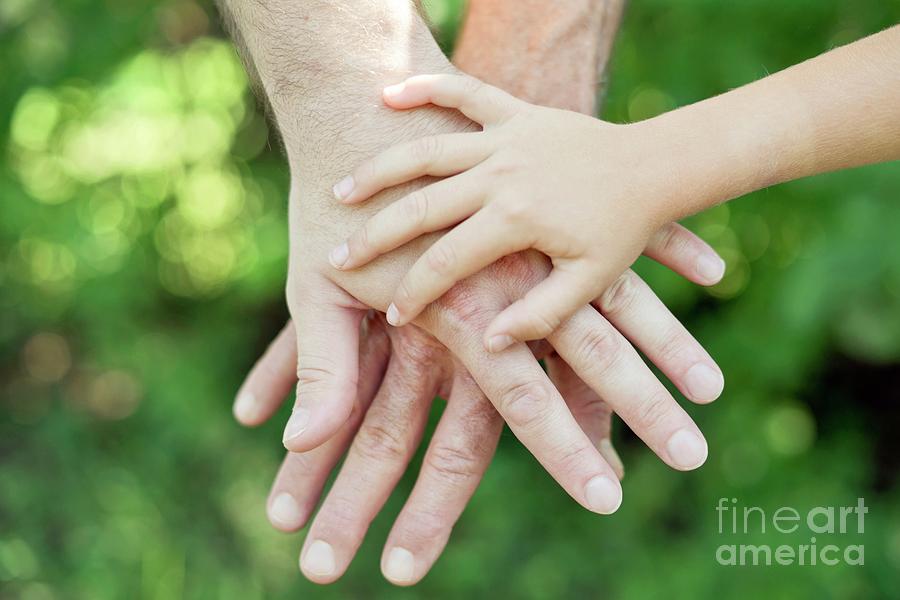 Adult And Childs Hands #2 Photograph by Science Photo Library