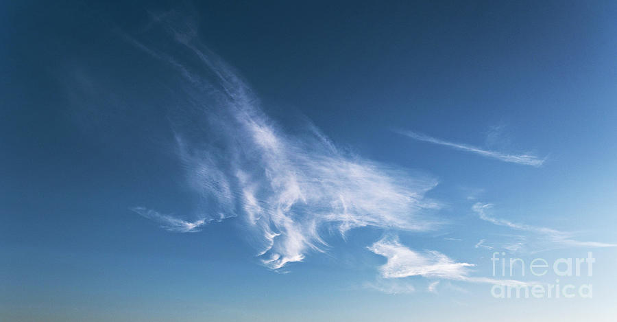 Aircraft Contrails And Cirrus Clouds #2 Photograph by Stephen Burt/science Photo Library