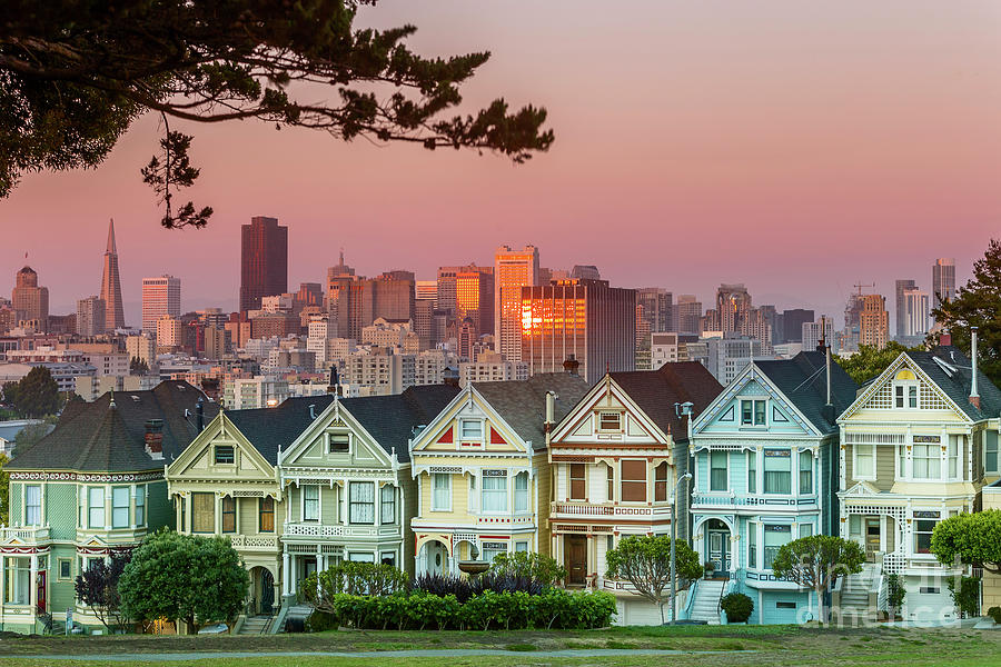 Alamo Square And Painted Ladies #2 Photograph by Spondylolithesis