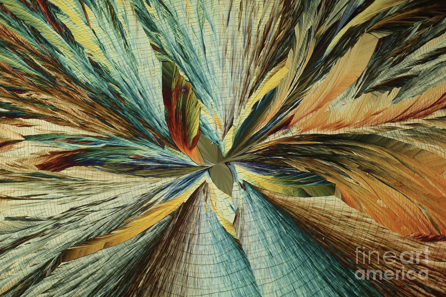 Glutamine Photograph - Alanine And Glutamine Crystals #2 by Karl Gaff / Science Photo Library