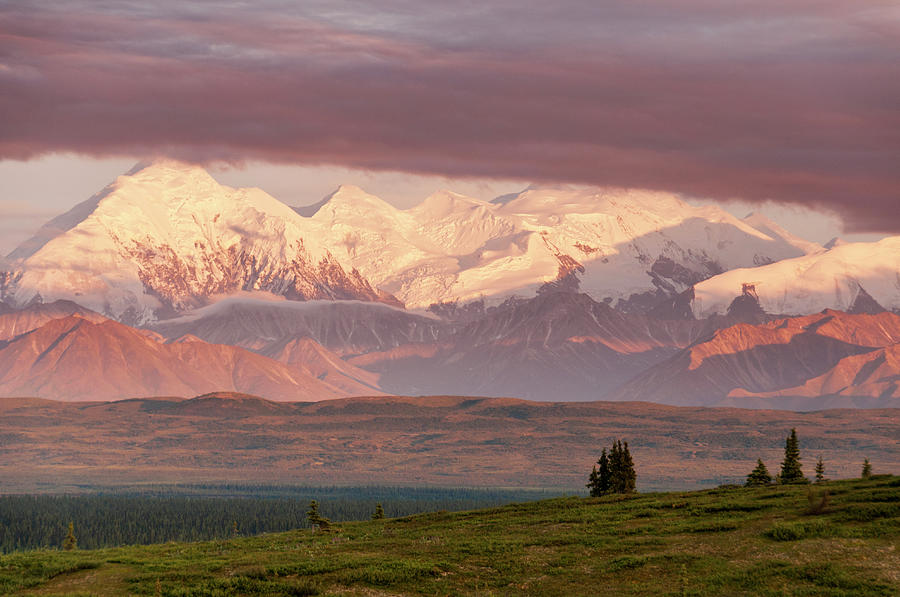 Alaska Range With Mt Brooks #2 Photograph by John Elk