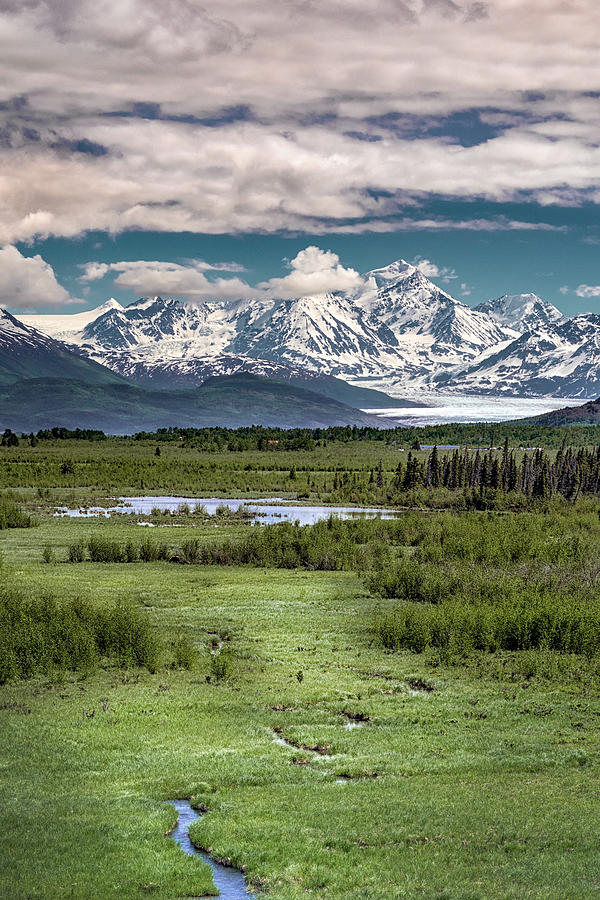 Alaskan Summer #2 Photograph by Robert Fawcett