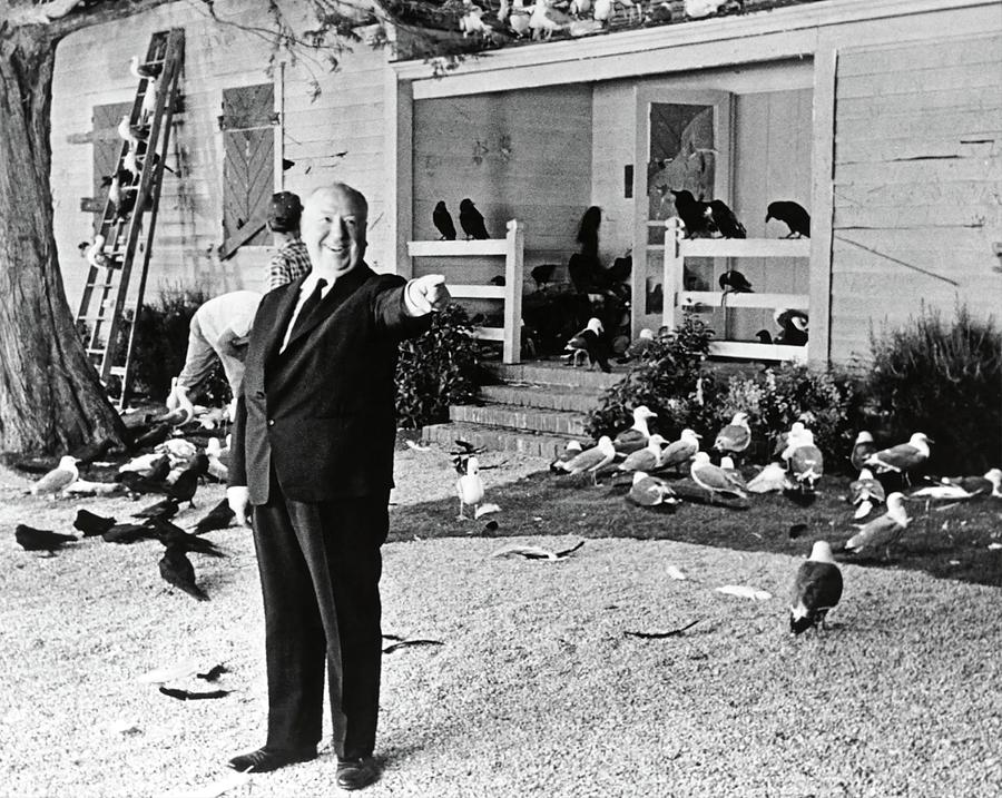 Alfred Hitchcock In The Birds 1963 Photograph By Album Fine Art America