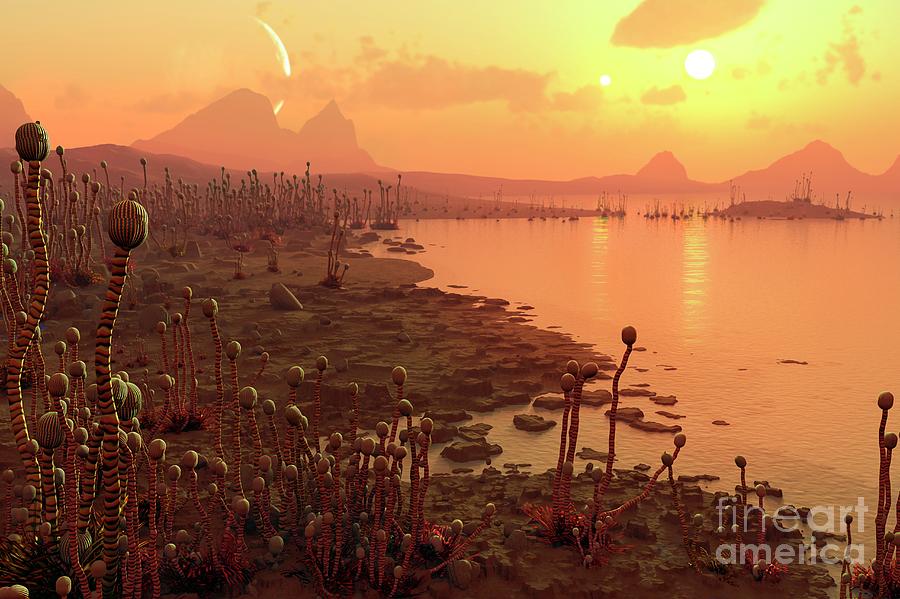 Science Fiction Photograph - Alien Plants On An Exoplanet #2 by Mark Garlick/science Photo Library