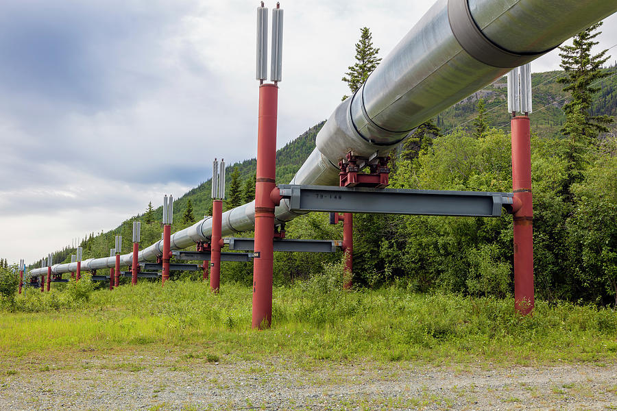 Alyeska Pipeline Passing Photograph by Panoramic Images - Fine Art America