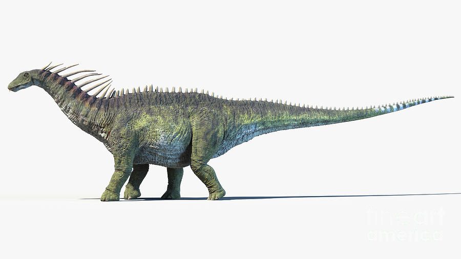 Amargasaurus #2 Photograph by Sebastian Kaulitzki/science Photo Library ...