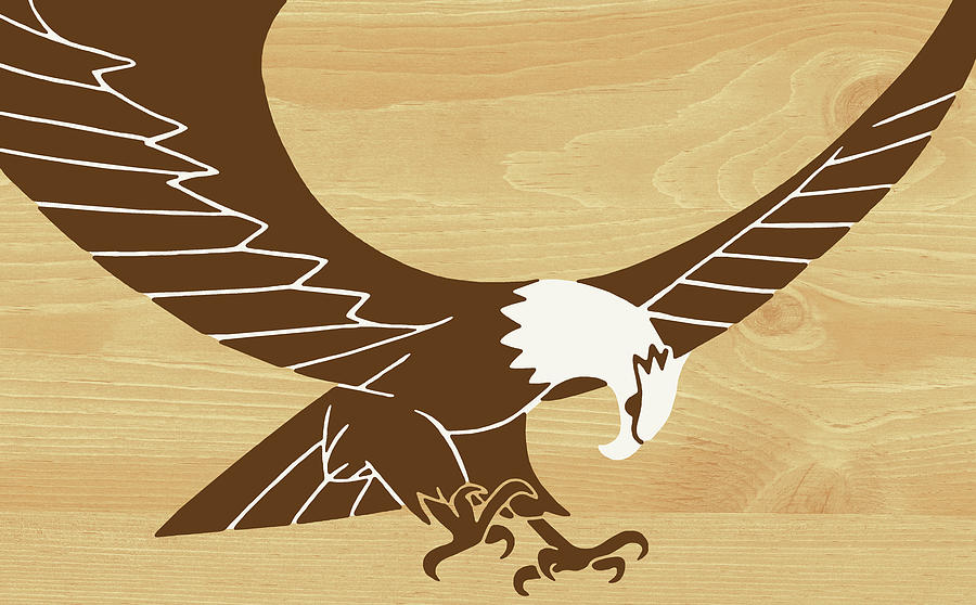 Eagle Drawing - American Eagle #2 by CSA Images