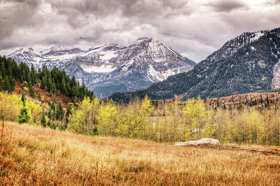 American Fork Canyon #1 Photograph by Brett Engle