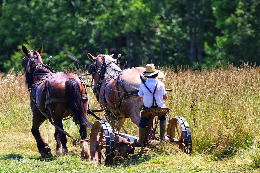 Amish farming #2 Photograph by Susan Jensen