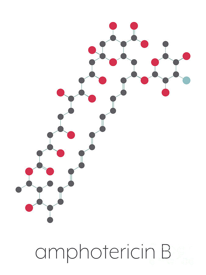 Amphotericin B Antifungal Drug Molecule Photograph By Molekuul/science ...